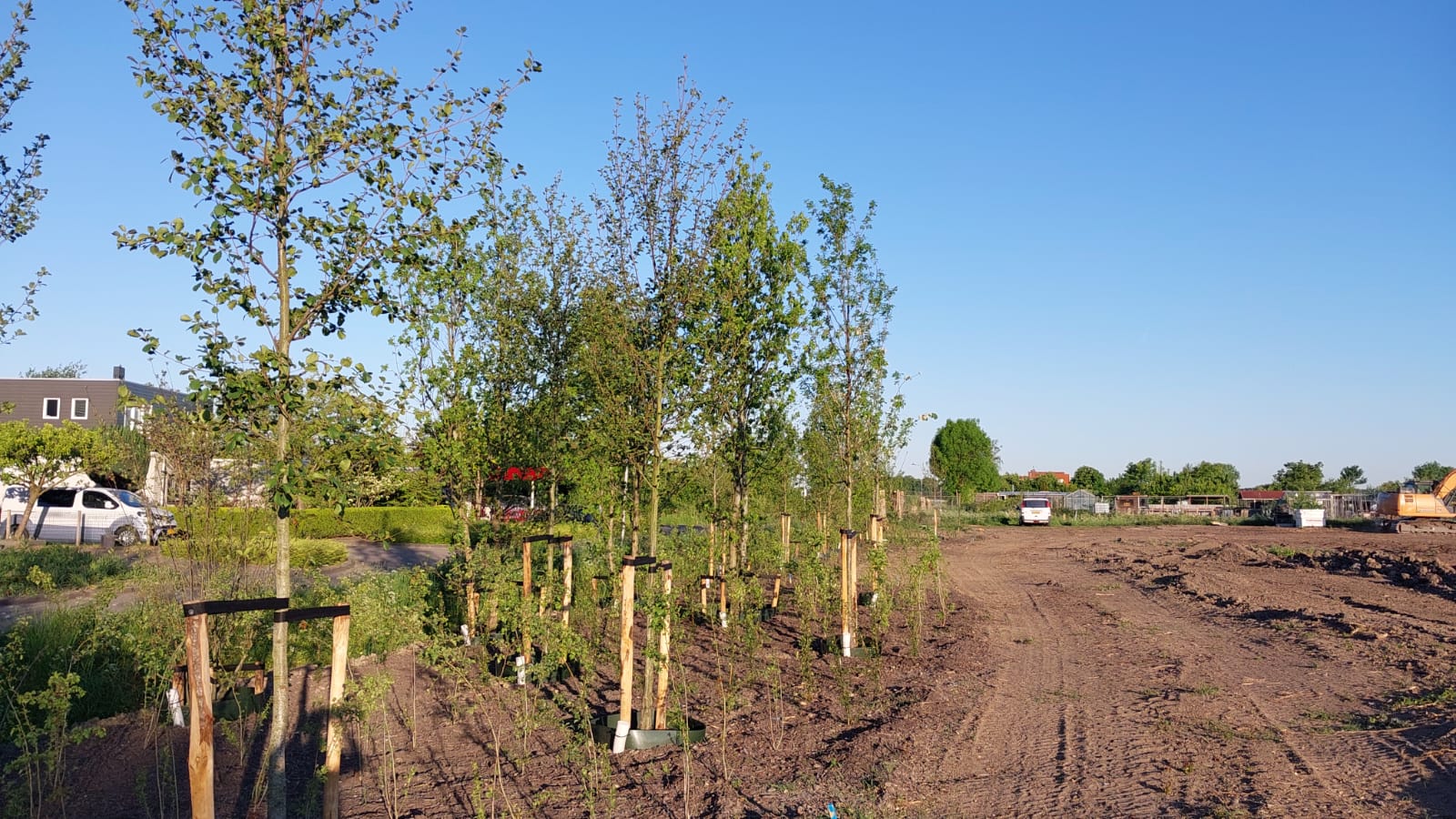 Bomen planten