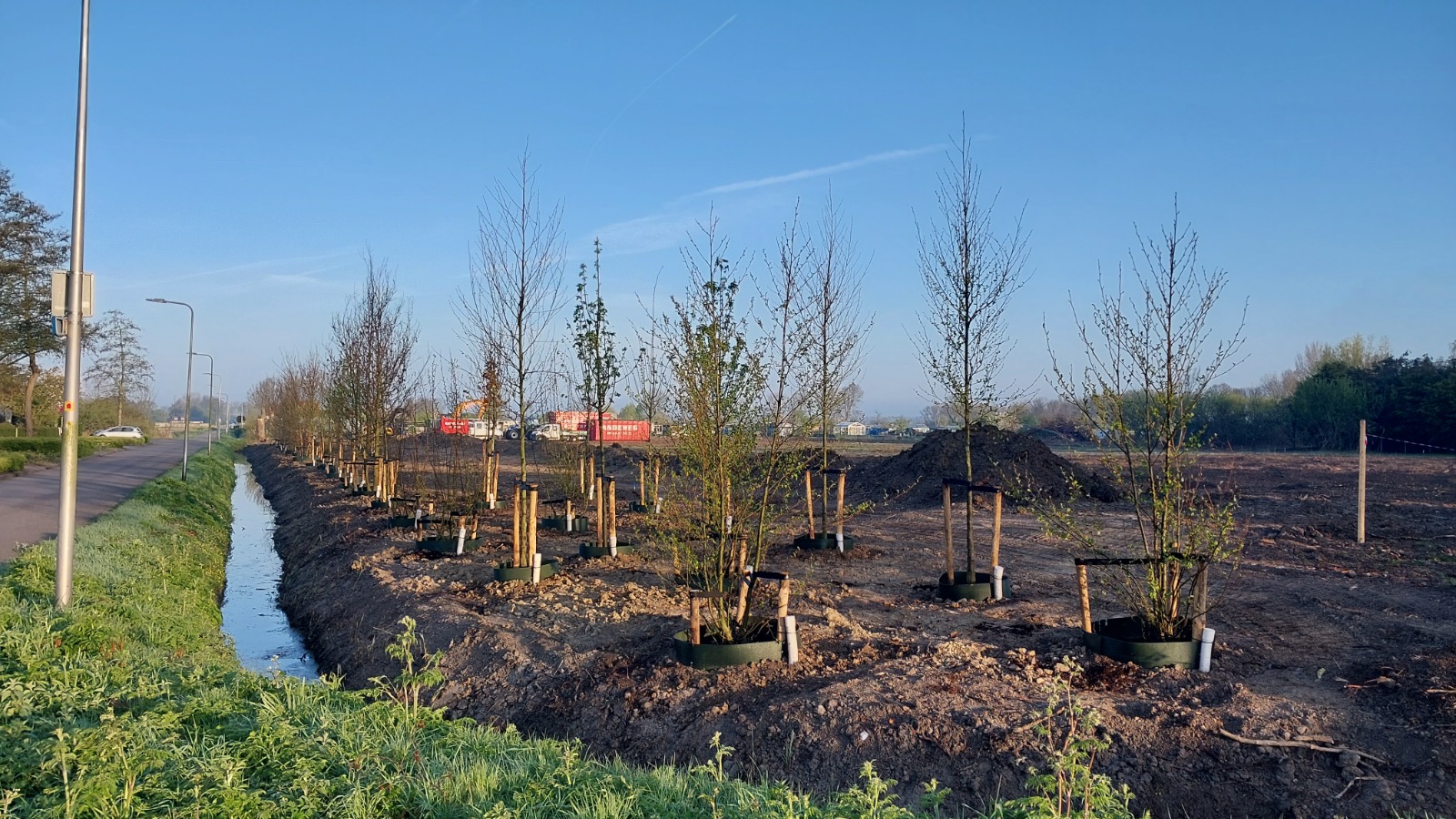 Bomen planten