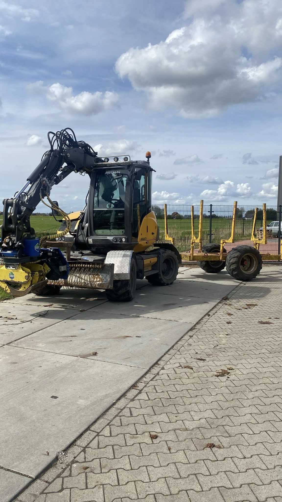 Middelgrote frees
