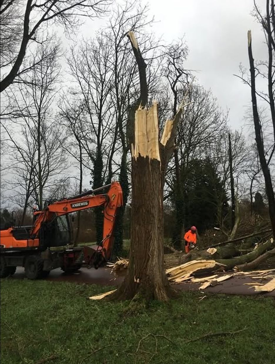 Stormschade herstel