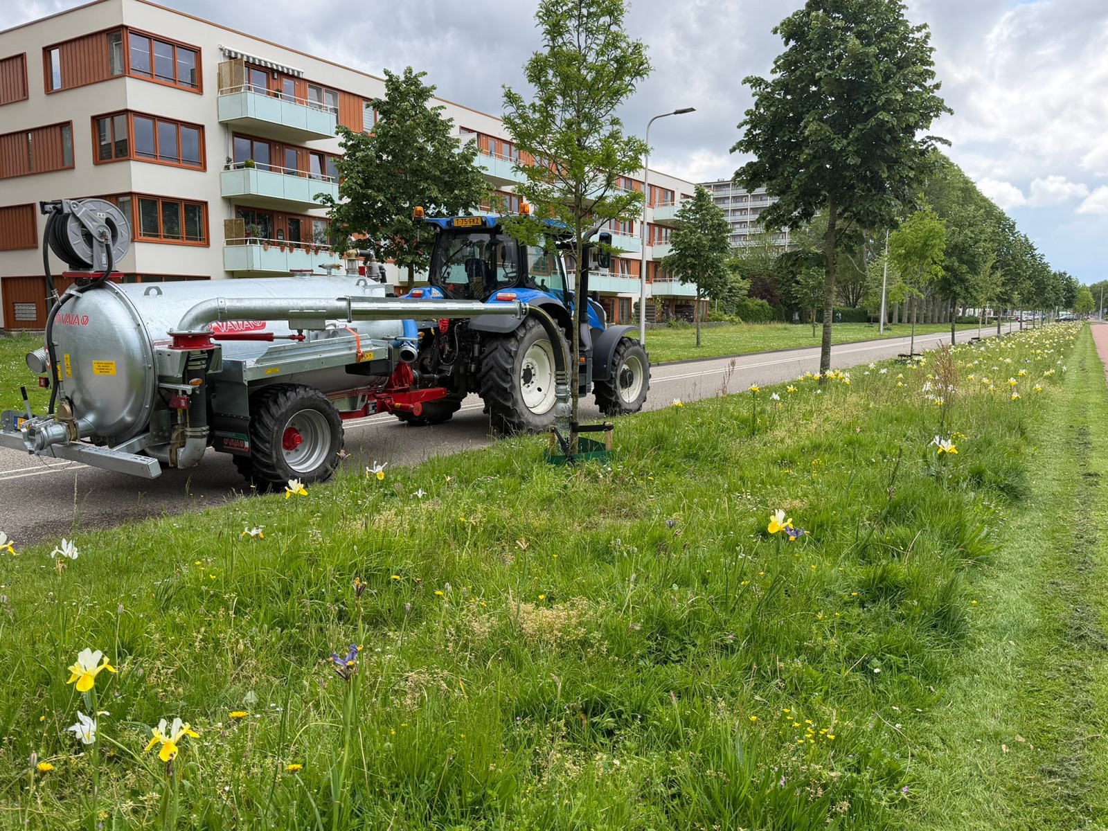 Water geven
